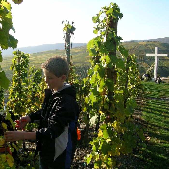 Weingut Matthiashof