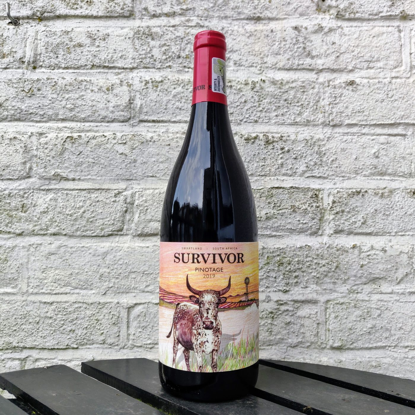 Survivor Pinotage