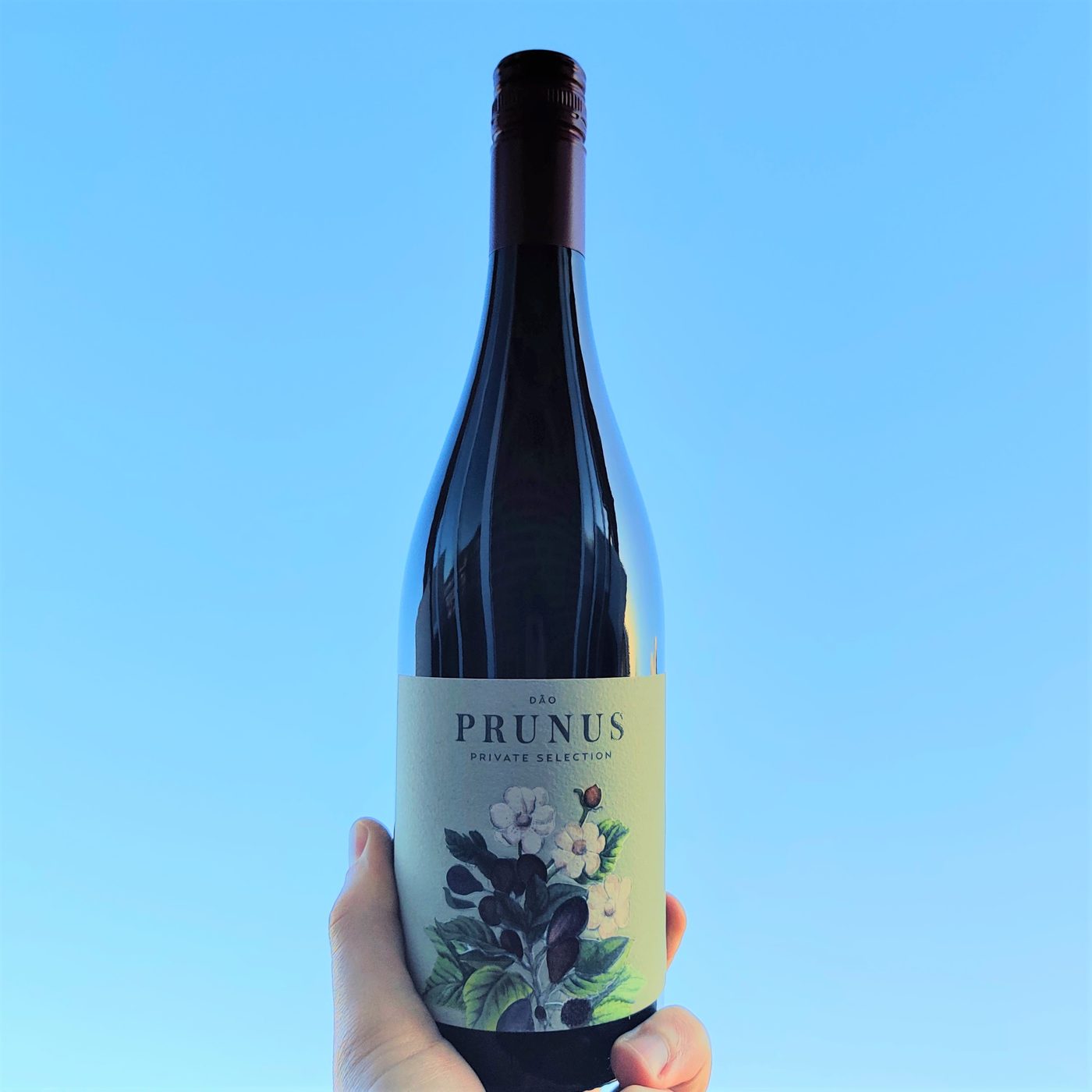 Prunus Private Selection Tinto