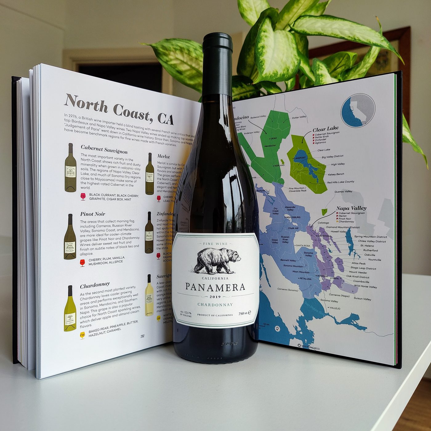Panamera Chardonnay 2019