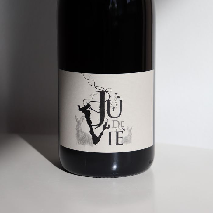 Domaine de la Graveirette Ju de Vie Rouge 2019